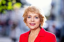 Carmen Möller, Bezirksabgeordnete