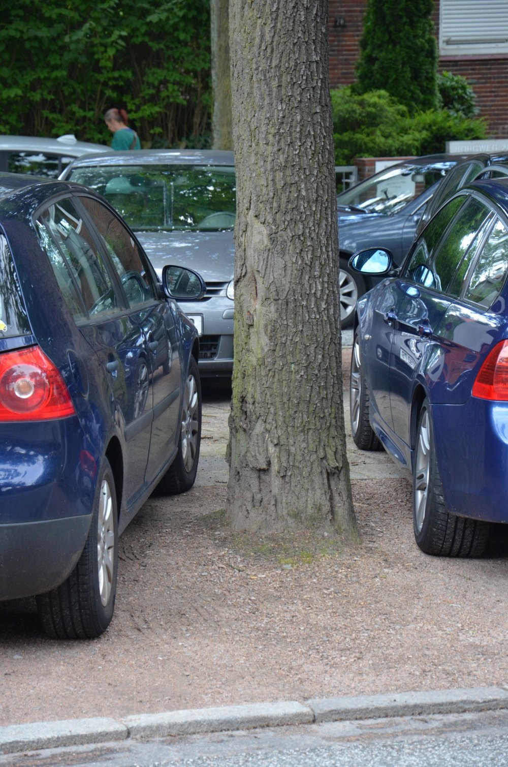 Eichen am Borgweg: Vorher zugeparkt – jetzt mit breiter Baumscheibe, Schutz vor Anfahren und wasserdurchlässigerem Umfeld