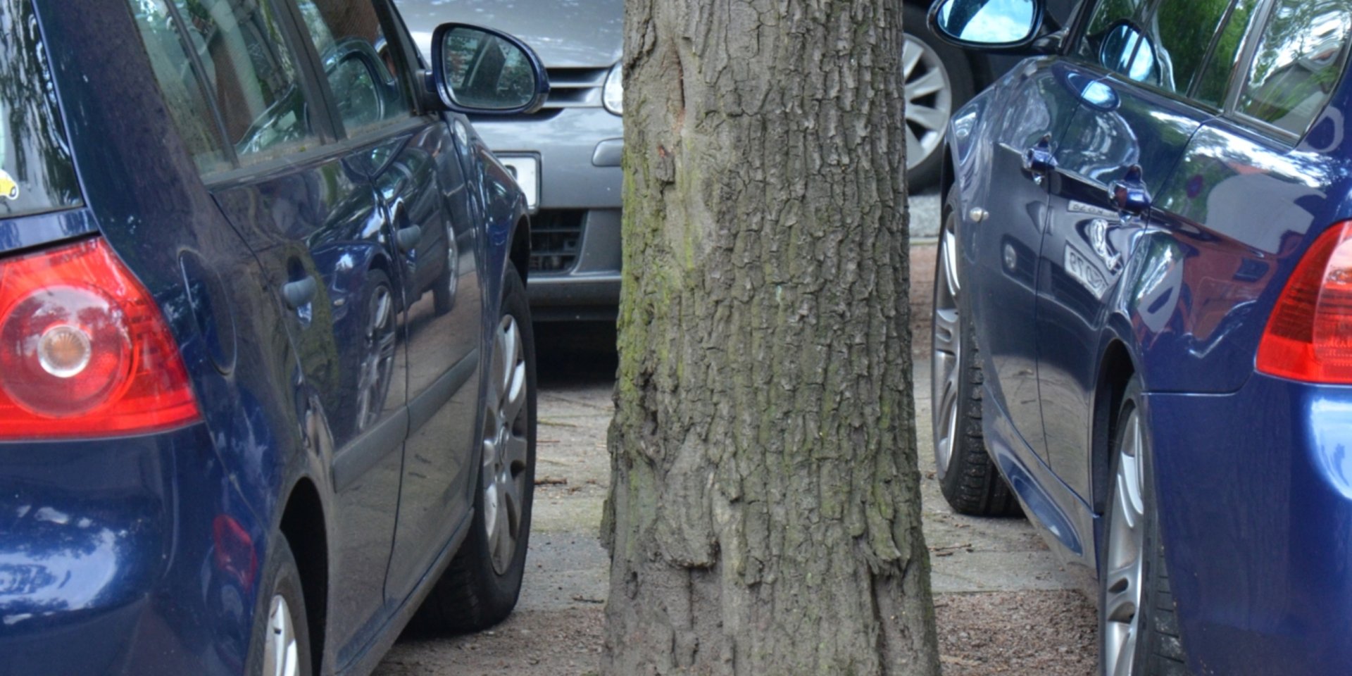 Eichen am Borgweg: Vorher zugeparkt – jetzt mit breiter Baumscheibe, Schutz vor Anfahren und wasserdurchlässigerem Umfeld