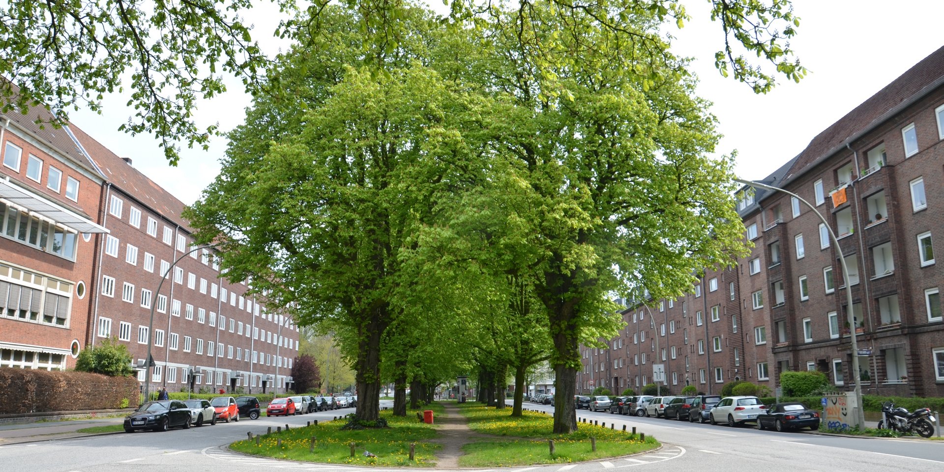 Mittelallee am Wiesendamm in Barmbek