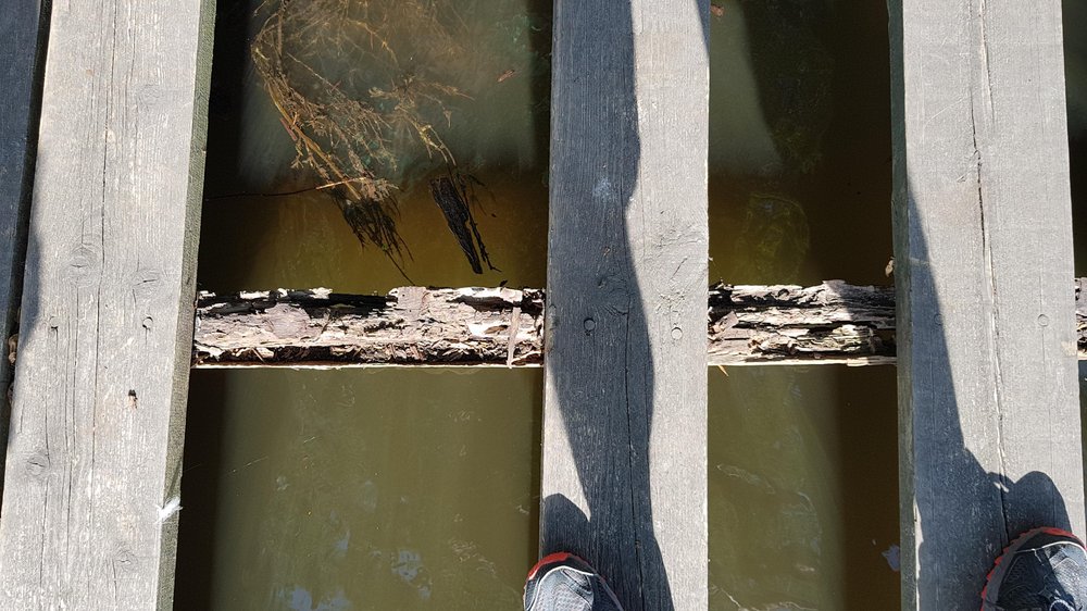 Beschädigte Unterkonstruktion des alten Stegs (Matthias Ritz, RV Wandsbek Beschädigte Unterkonstruktion des alten Stegs (Matthias Ritz, RV Wandsbek