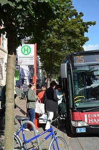 Bushaltestelle in der Dorotheenstraße Einsteigen fällt schwer (Reiffert/GAL-Fraktion HH-Nord)