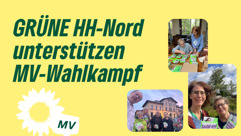 4000€ für GRÜNEN MV-Wahlkampf – HH-Nord unterstützt tatkräftig!