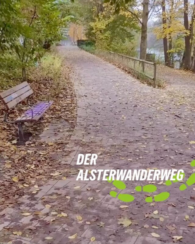 Seit 2021 wird der Alsterwanderweg in Hamburg Schritt für Schritt barrierearm ausgebaut – und es hat sich bereits viel getan! 💚

Neue Rampen, verbesserte Wege und zusätzliche Bänke machen den Alsterwanderweg nach und nach für mehr Menschen zugänglich. Das erhöht den Komfort und stärkt Barrierefreiheit, Teilhabe und Aufenthaltsqualität am Alsterlauf.

Aktuell werden die Arbeiten am Abschnitt zwischen der Traute-Lafrenz-Brücke und dem Alsterdorfer Damm fortgesetzt. Bis 2028 soll außerdem die neue Unterführung unter der Wilhelm-Metzger-Brücke fertiggestellt werden.

In den Slides seht ihr, was beim barrierearmen Ausbau des Alsterwanderwegs bereits umgesetzt wurde und welche nächsten Schritte folgen.

[Dies ist ein Beitrag der Fraktion]
