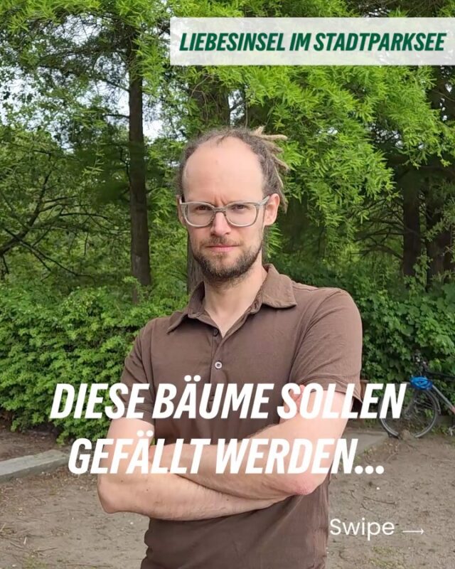 🌳 Die Liebesinsel gehört zu den Orten, die den Hamburger Stadtpark so besonders machen. Viele von euch kennen den Blick über den Stadtparksee – und die großen Sumpfzypressen, die seit mehr als 50 Jahren das Bild der Insel prägen.

Genau diese Bäume sollen nach den Plänen des Bezirksamts gefällt und durch Säuleneichen ersetzt werden. Begründet wird das unter anderem mit Stolperstellen durch die Wurzeln und Vorgaben des Gartendenkmalschutzes.

Wir finden: Sicherheit ist wichtig – aber gesunde Bäume zu fällen, darf nicht die erste Lösung sein. Gerade an heißen Tagen spenden große Bäume Schatten, kühlen ihre Umgebung und machen Orte wie die Liebesinsel lebenswert. Die Sumpfzypressen sind vital und stellen keine akute Gefahr dar.

Deshalb fordern wir: Stolperstellen sollen beseitigt werden, zum Beispiel durch eine Anpassung des Weges oder andere bauliche Lösungen. So kann die Insel sicherer werden, ohne dass ihr prägendes Grün verloren geht.

Wie seht ihr das? Sollten die Sumpfzypressen auf der Liebesinsel erhalten bleiben?